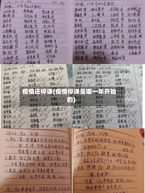 疫情还停课(疫情停课是哪一年开始的)