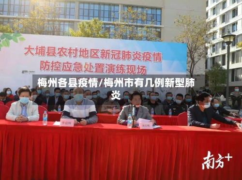 梅州各县疫情/梅州市有几例新型肺炎