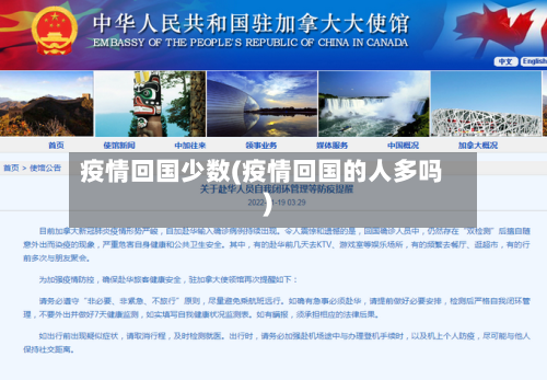 疫情回国少数(疫情回国的人多吗)